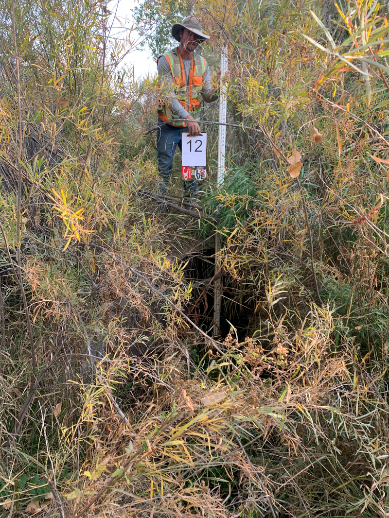 Site Photo 12